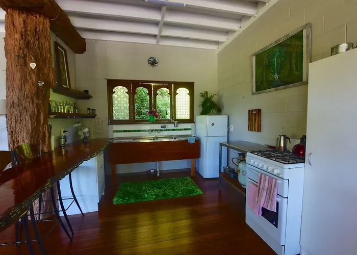 A Daintree Garden