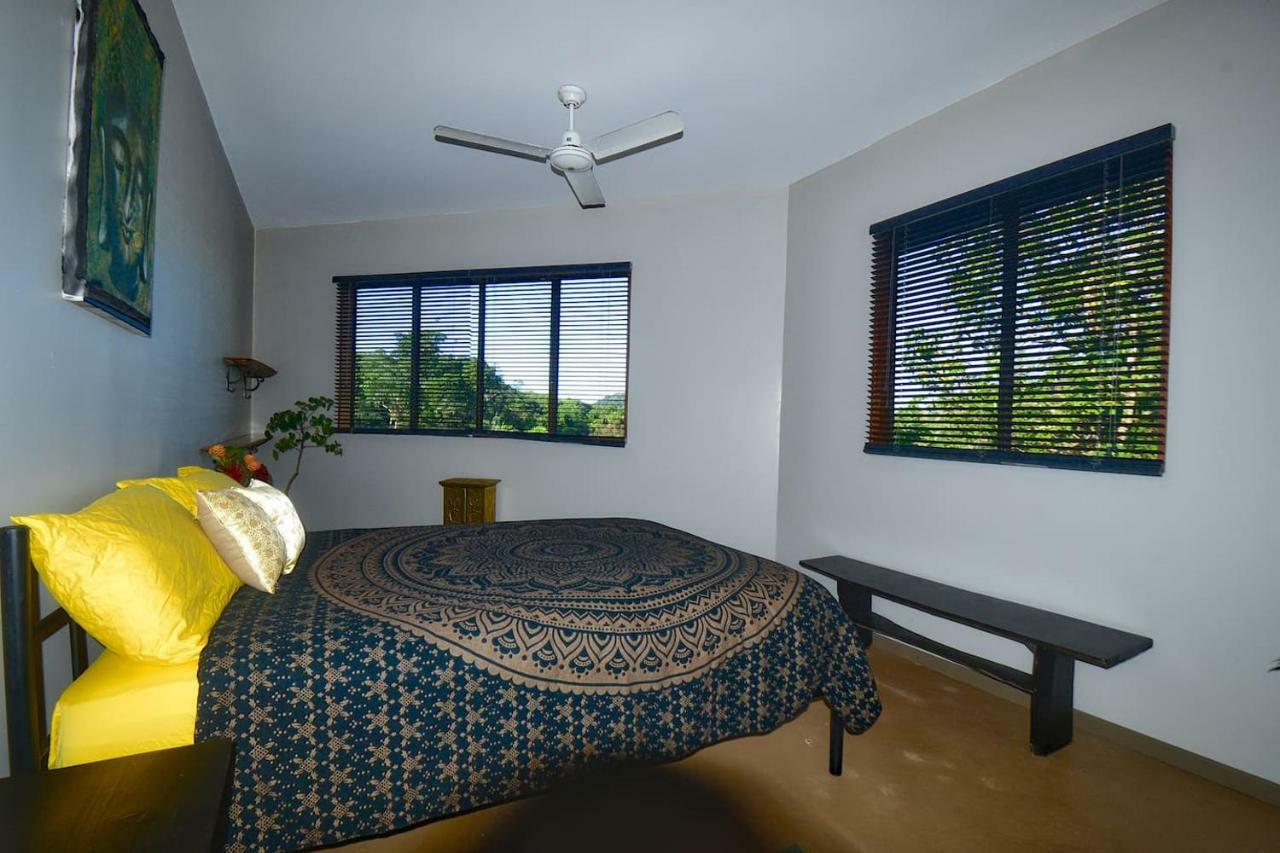 A Daintree Garden * Diwan