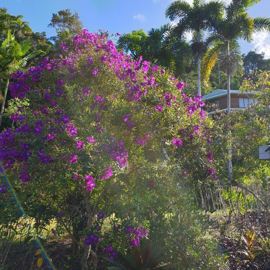Holiday home A Daintree Garden