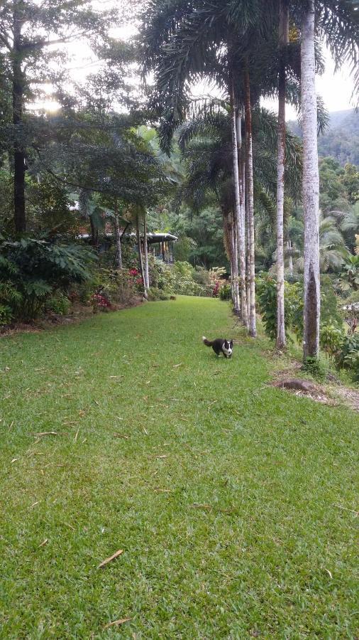 A Daintree Garden Holiday home Diwan