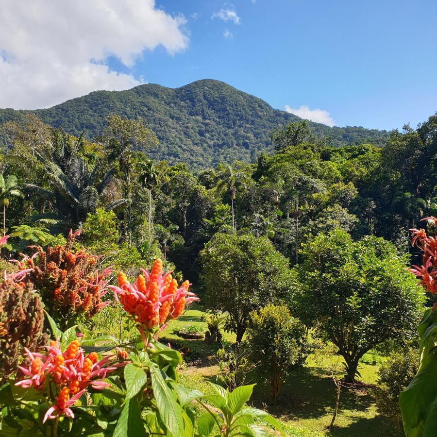 A Daintree Garden Holiday home